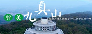 鸡插逼电影区