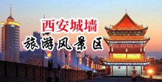 插逼逼免费视频中国陕西-西安城墙旅游风景区